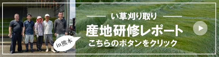 大木畳店産地研修レポートバナーボタン